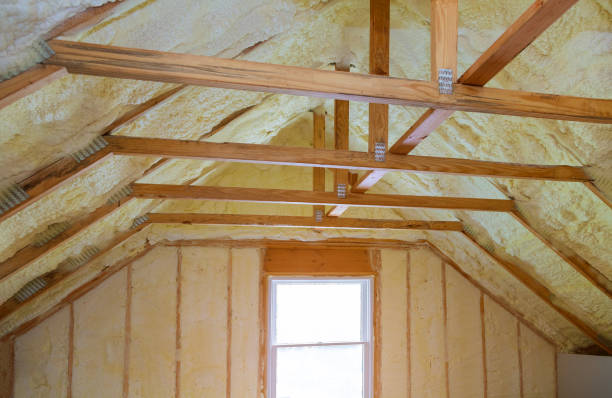 Best Eco-Friendly Insulation in Leisure Knoll, NJ