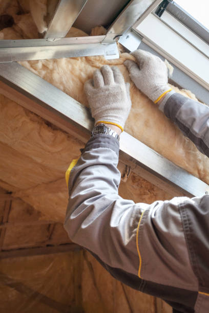 Best Residential Insulation in Leisure Knoll, NJ