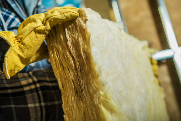 Best Blown-in Insulation in Leisure Knoll, NJ