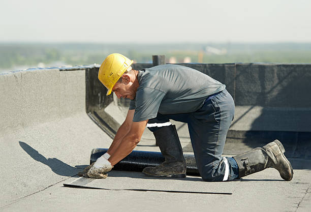 Best Cellulose Insulation in Leisure Knoll, NJ